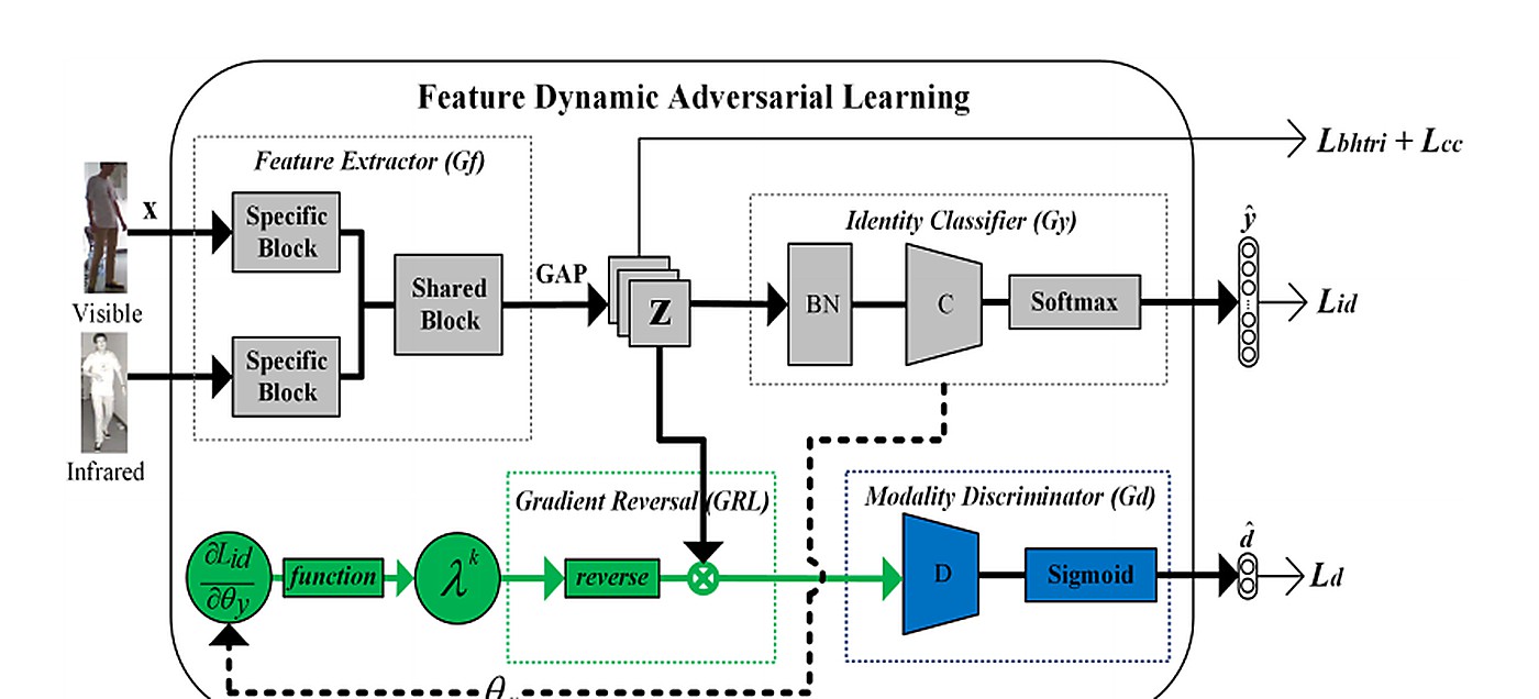 论文代表图：Dynamic Weighted Gradient Reversal Network for Visible-Infrared Person Re-Identification